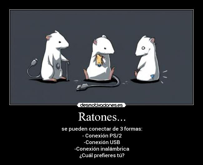 carteles ratones raton conexion usb conexion ps2 conexion inalambrica ordenador informatica animal desmotivaciones
