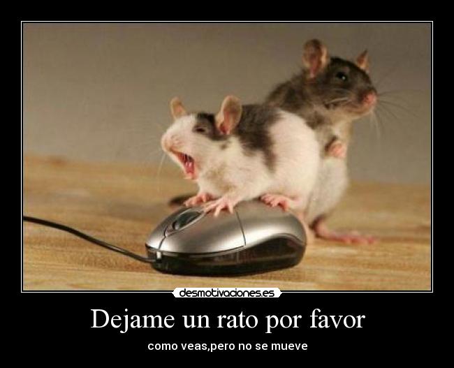 Dejame un rato por favor - 