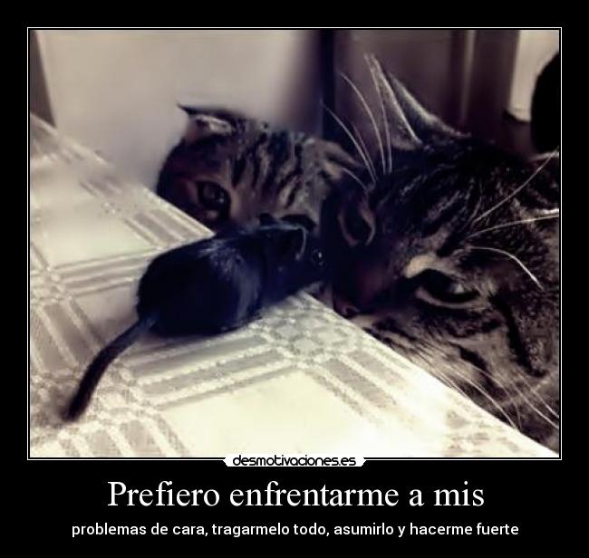 Prefiero enfrentarme a mis - problemas de cara, tragarmelo todo, asumirlo y hacerme fuerte