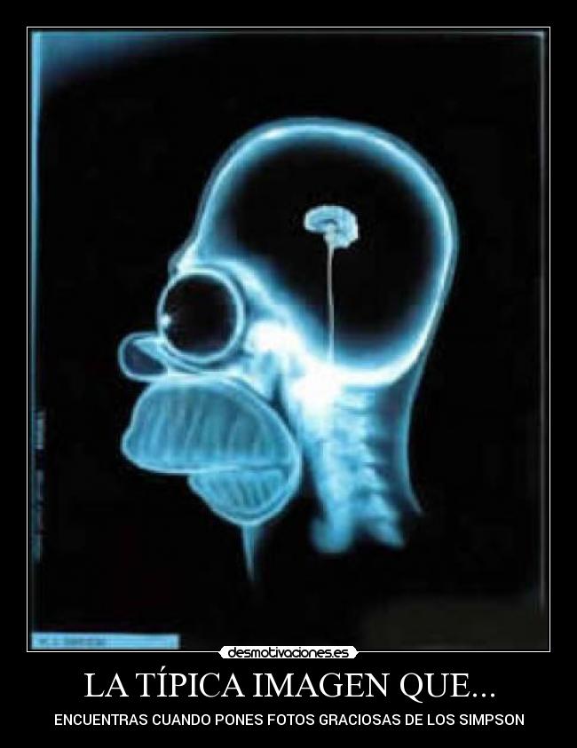 LA TÍPICA IMAGEN QUE... - ENCUENTRAS CUANDO PONES FOTOS GRACIOSAS DE LOS SIMPSON