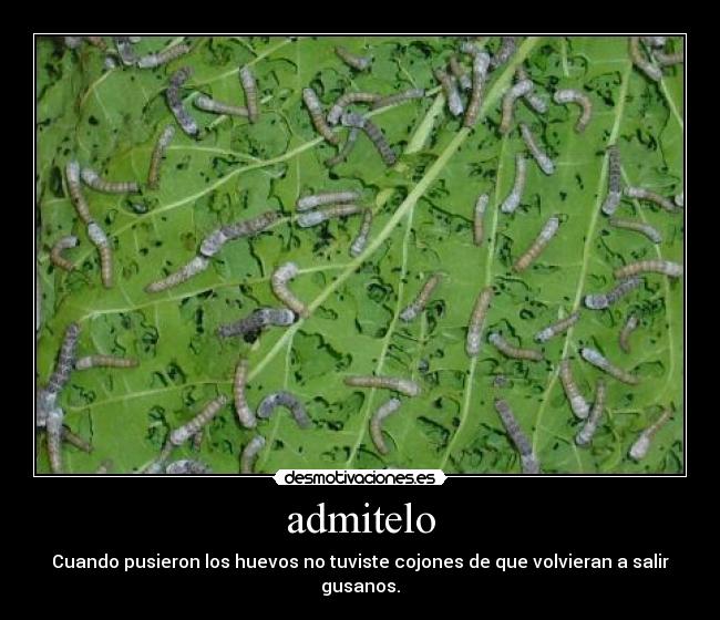 carteles alvariito7 desmotivaciones