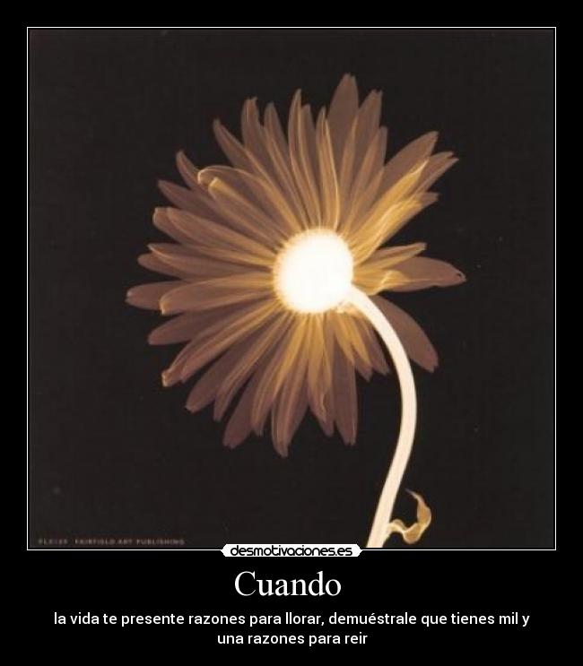 Cuando - la vida te presente razones para llorar, demuéstrale que tienes mil y
una razones para reir