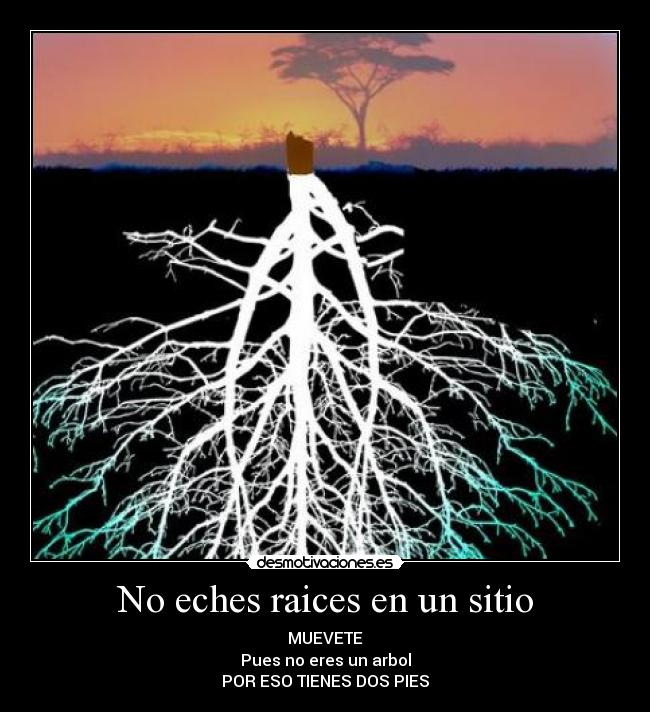 carteles desmotivaciones