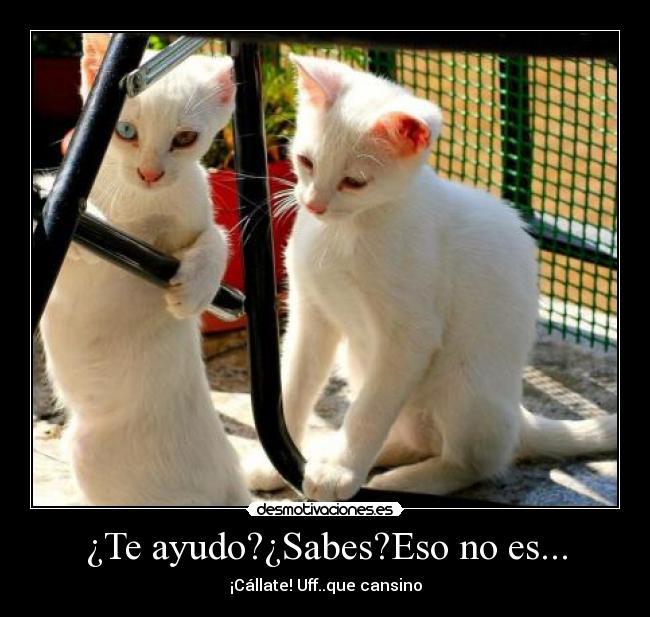 ¿Te ayudo?¿Sabes?Eso no es... - ¡Cállate! Uff..que cansino