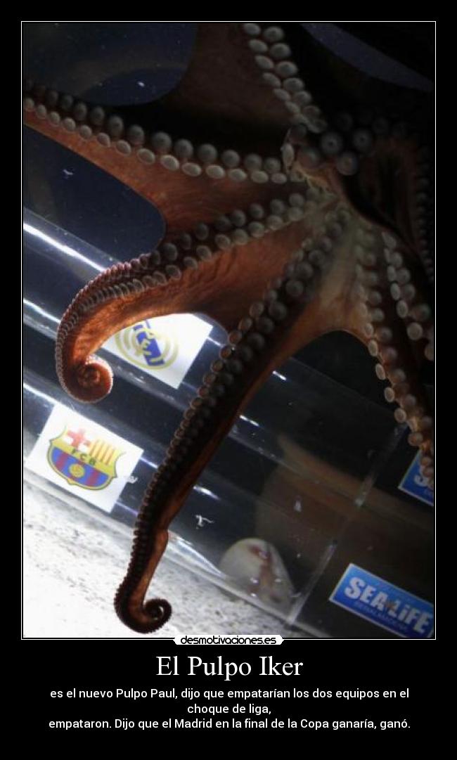 El Pulpo Iker - 