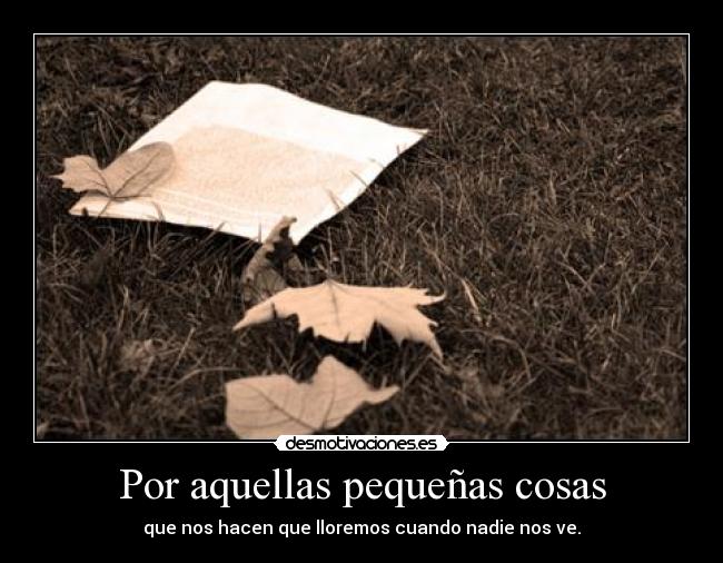 Por aquellas pequeñas cosas - que nos hacen que lloremos cuando nadie nos ve.