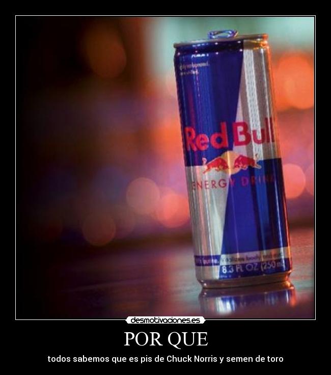 POR QUE - todos sabemos que es pis de Chuck Norris y semen de toro