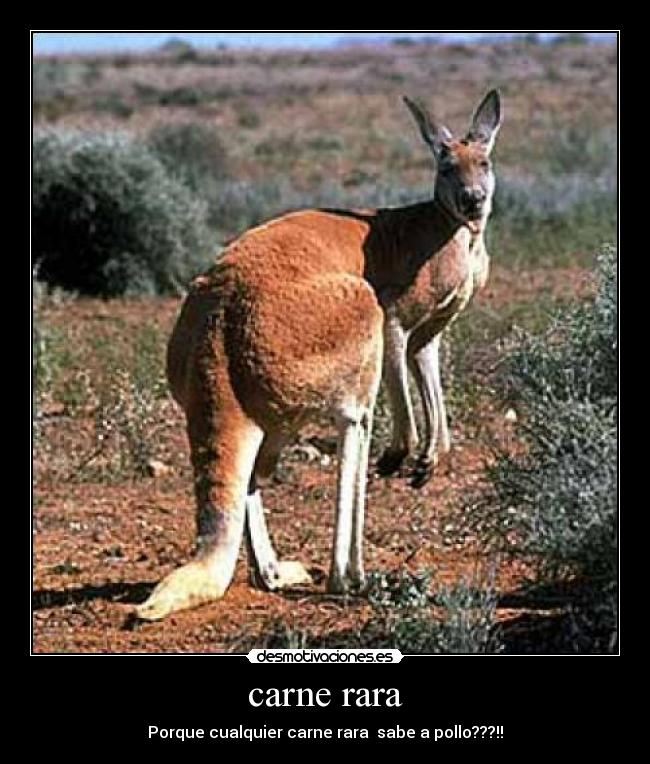 carne rara - Porque cualquier carne rara  sabe a pollo???!!