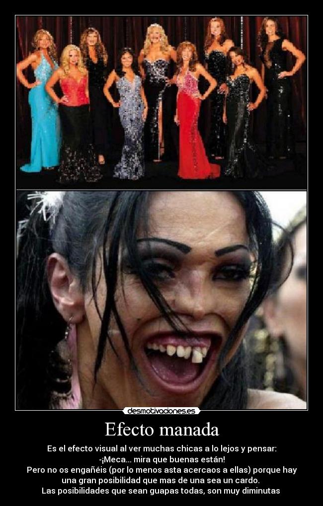 Efecto manada - Es el efecto visual al ver muchas chicas a lo lejos y pensar:
-¡Meca... mira que buenas están!
Pero no os engañéis (por lo menos asta acercaos a ellas) porque hay
una gran posibilidad que mas de una sea un cardo. 
Las posibilidades que sean guapas todas, son muy diminutas 