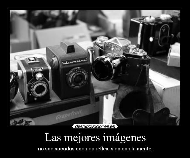 carteles camara reflex imagenes desmotivaciones