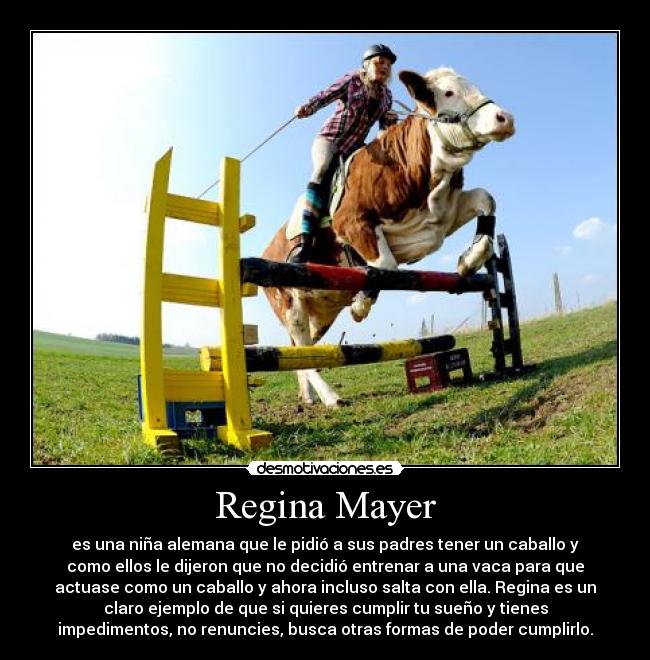 carteles vaca desmotivaciones