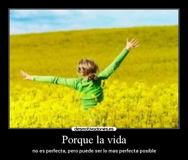 Porque la vida - no es perfecta, pero puede ser lo mas perfecta posible