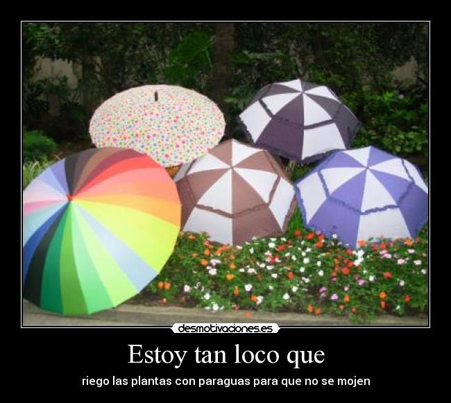 Estoy tan loco que -