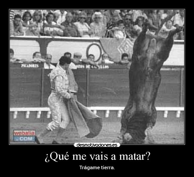 ¿Qué me vais a matar? - Trágame tierra.