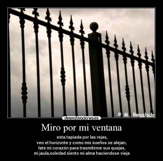 carteles miro por ventana rejas soledad porta desmotivaciones