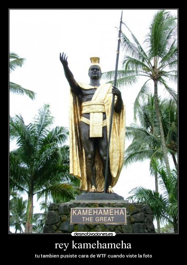 rey kamehameha - tu tambien pusiste cara de WTF cuando viste la foto