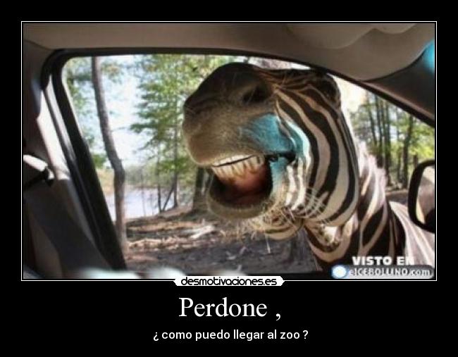 carteles walt-k desmotivaciones