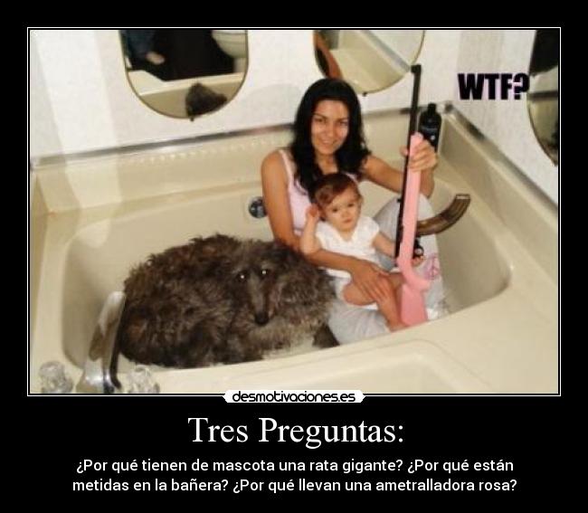 Tres Preguntas: - ¿Por qué tienen de mascota una rata gigante? ¿Por qué están
metidas en la bañera? ¿Por qué llevan una ametralladora rosa?