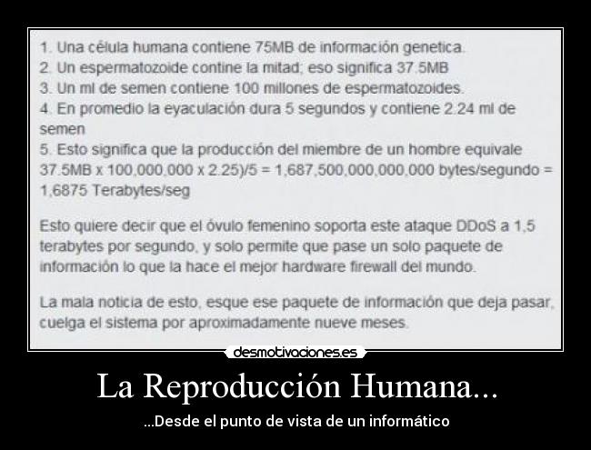 La Reproducción Humana... - ...Desde el punto de vista de un informático