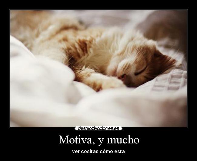 Motiva, y mucho - ver cositas cómo esta