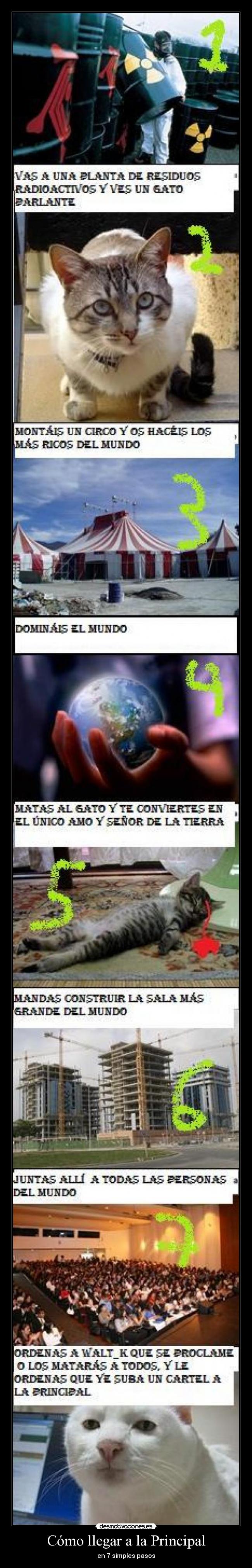 Cómo llegar a la Principal - en 7 simples pasos