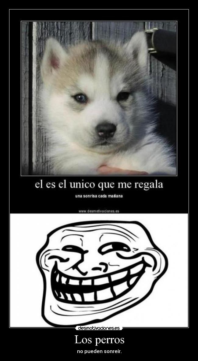 carteles trollface troll respuesta perros cartel desmotivaciones