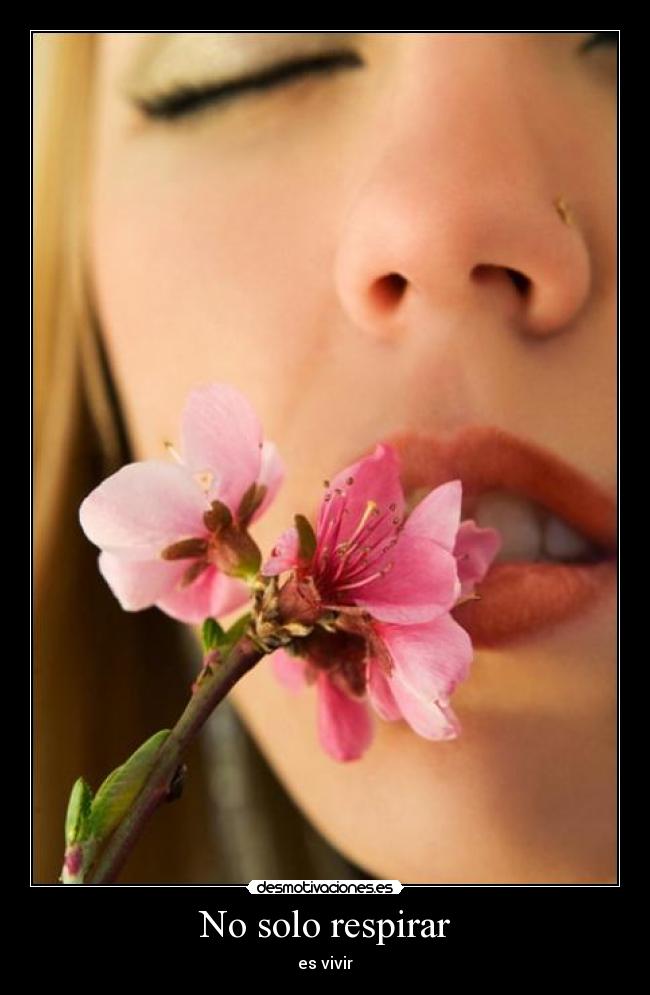 No solo respirar -