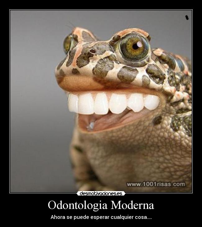 Odontologia Moderna - Ahora se puede esperar cualquier cosa....