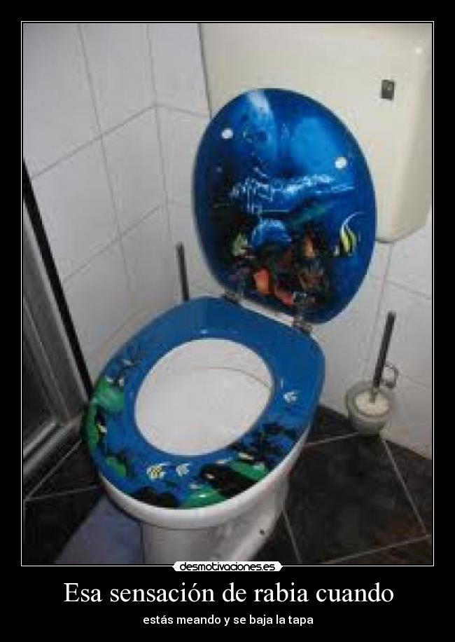 carteles esa sensacion rabia cuando desmotivaciones