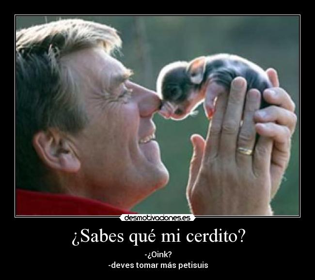 ¿Sabes qué mi cerdito? -