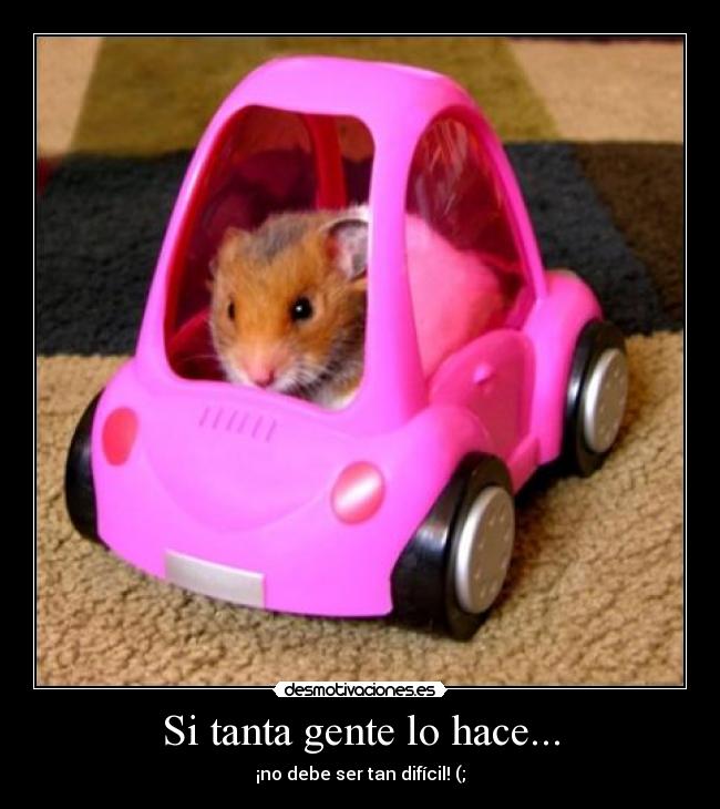 Si tanta gente lo hace... -