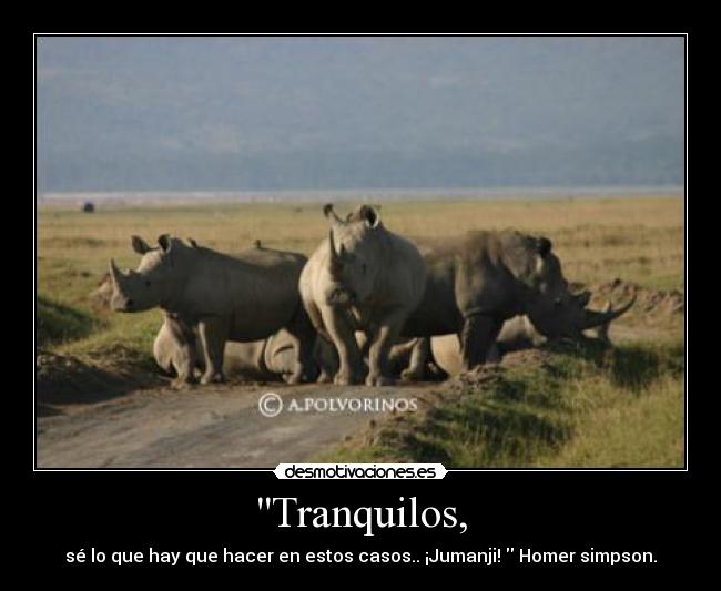Tranquilos, -