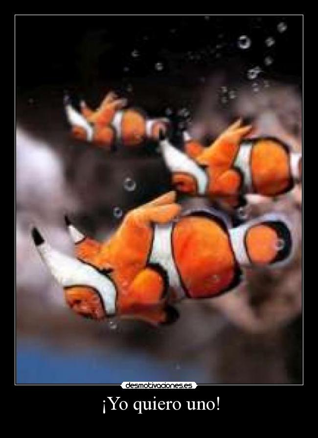 ¡Yo quiero uno! -