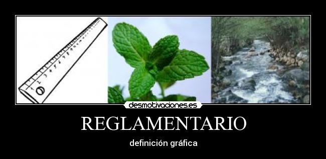 REGLAMENTARIO - 