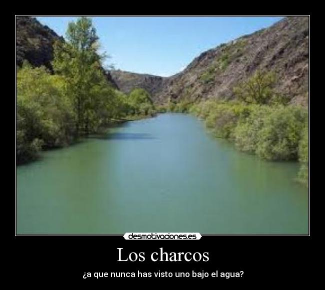 Los charcos - 