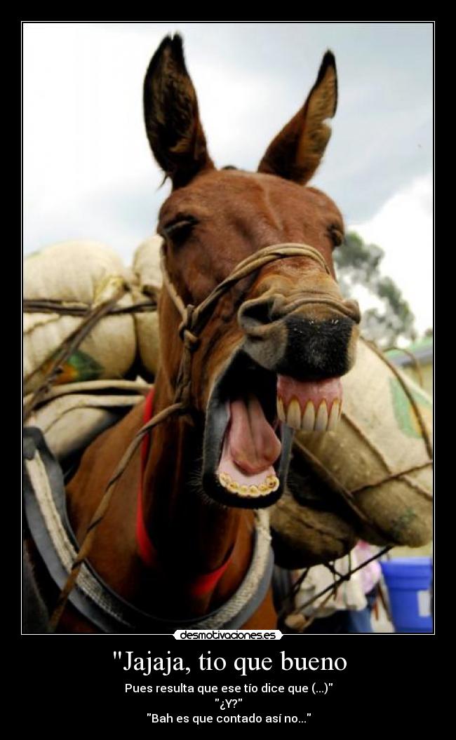 Jajaja, tio que bueno -