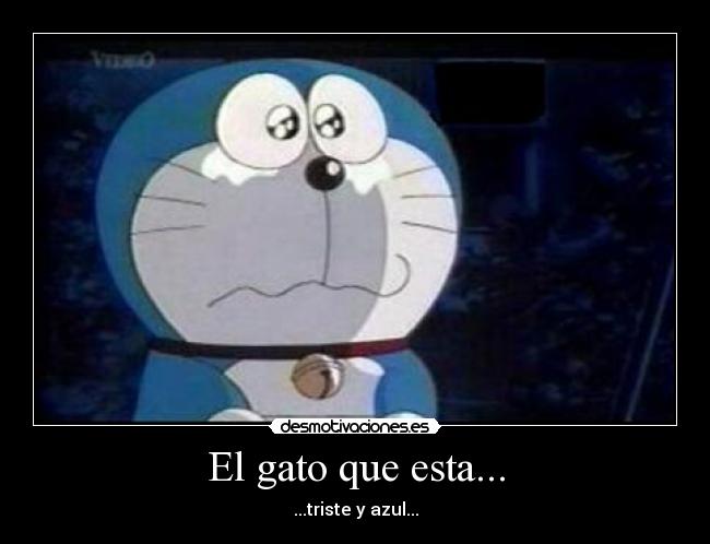 El gato que esta... - ...triste y azul...