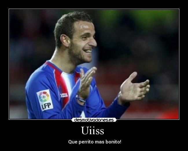 Uiiss - Que perrito mas bonito!