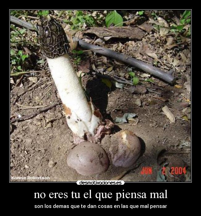 no eres tu el que piensa mal - son los demas que te dan cosas en las que mal pensar