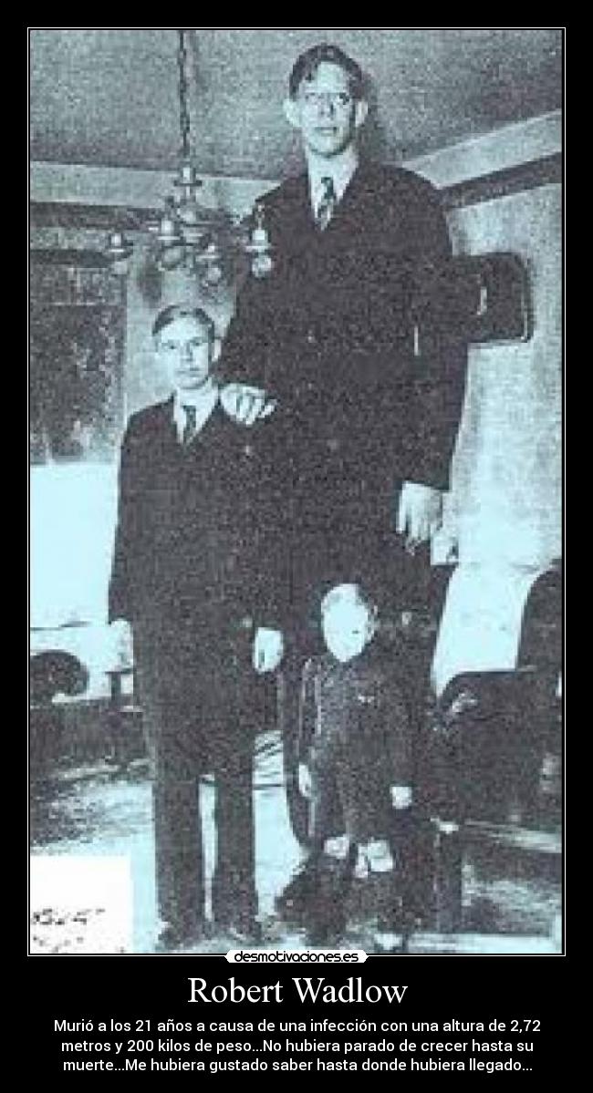 Robert Wadlow - Murió a los 21 años a causa de una infección con una altura de 2,72
metros y 200 kilos de peso...No hubiera parado de crecer hasta su
muerte...Me hubiera gustado saber hasta donde hubiera llegado...