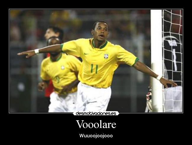 carteles volar robinho brazil desmotivaciones