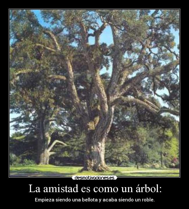 La amistad es como un árbol: - 