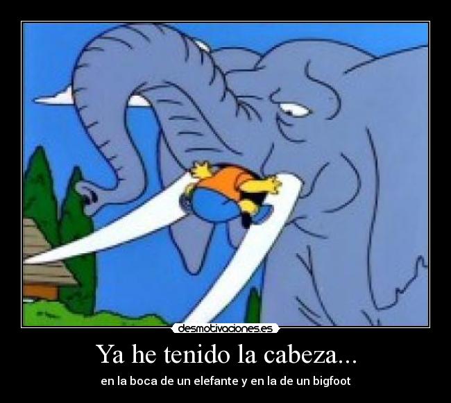 Ya he tenido la cabeza... -