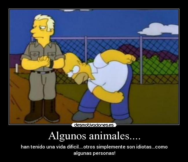 Algunos animales.... - 