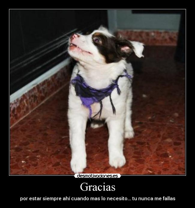 Gracias -