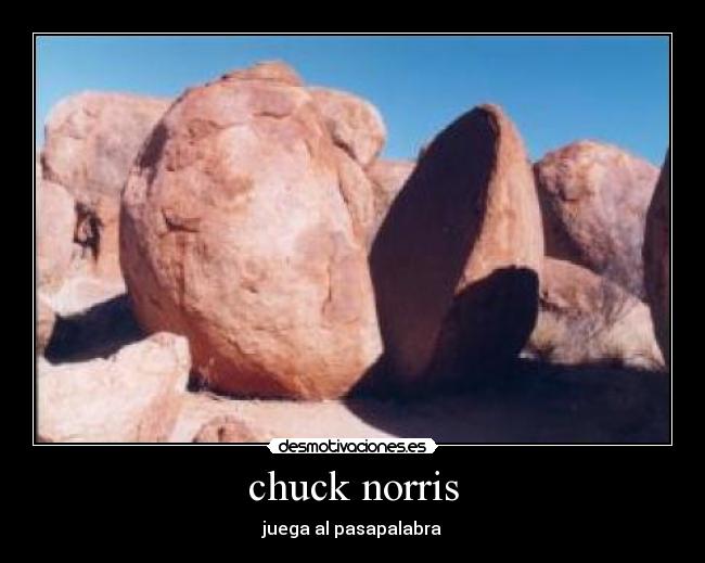 chuck norris - 
