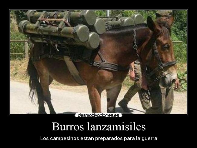 Burros lanzamisiles - Los campesinos estan preparados para la guerra