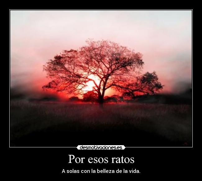 Por esos ratos - A solas con la belleza de la vida.