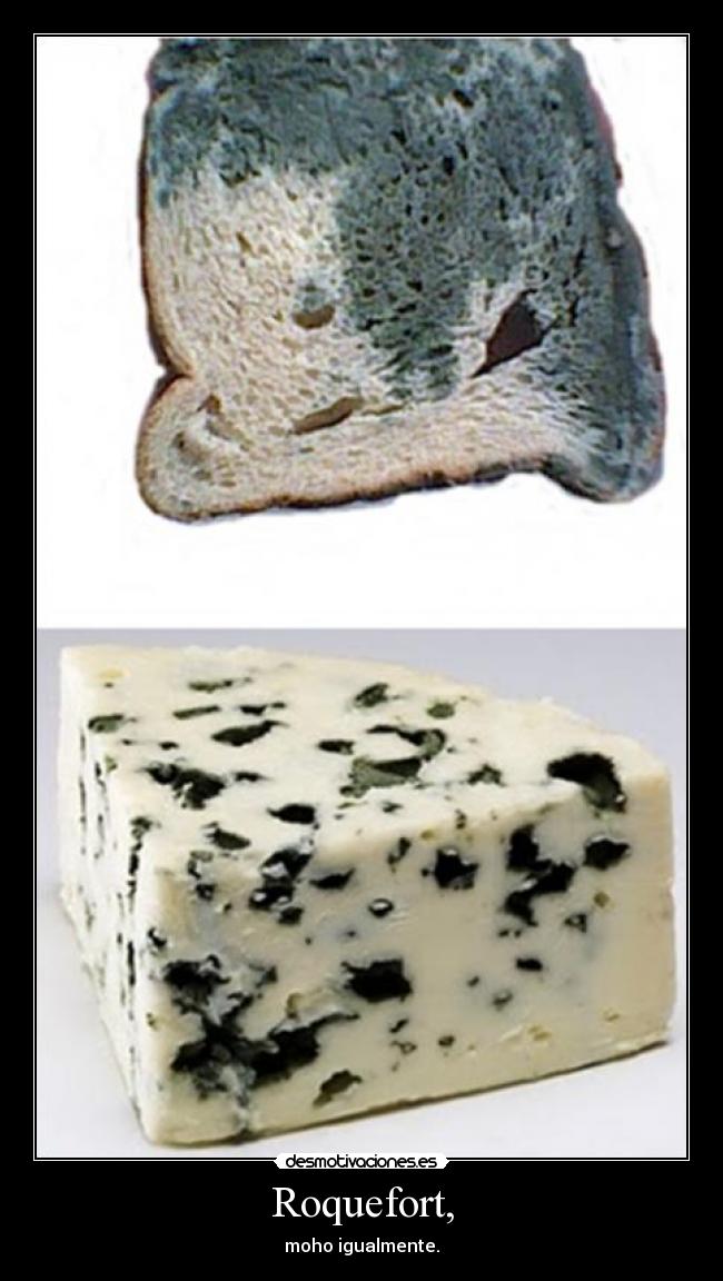Roquefort, -