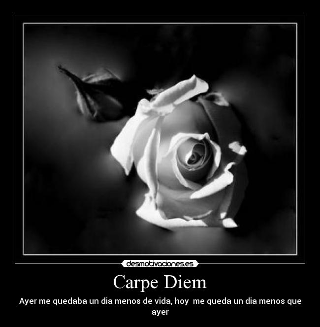 Carpe Diem -